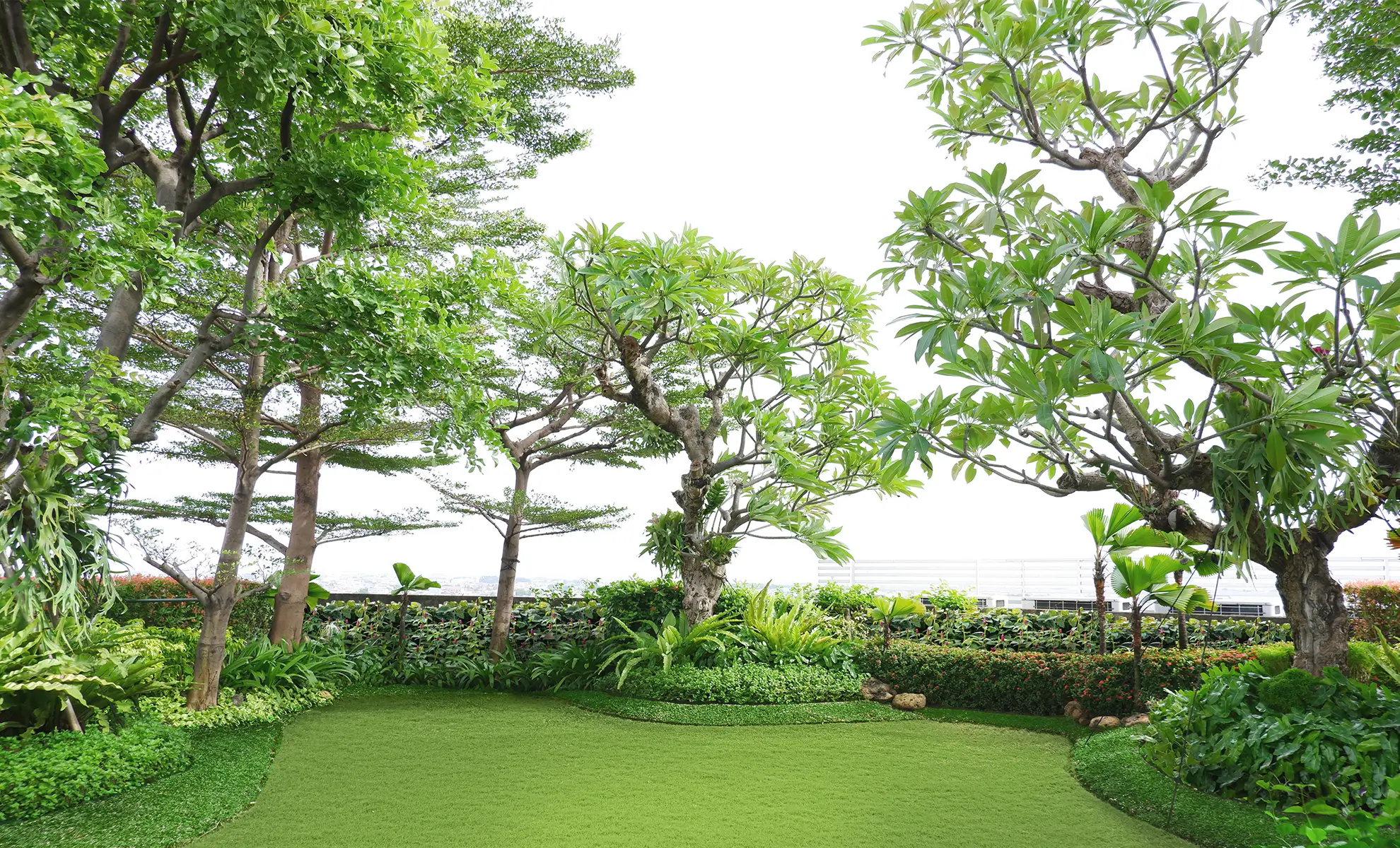 Garden Landscape